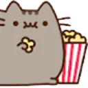 popcorncat