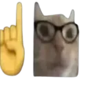 nerdcat