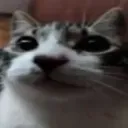 wat