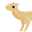 Camel1