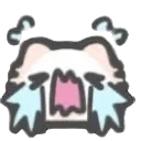 catsob