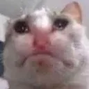 sad3