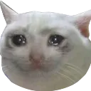 emoji_47