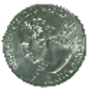 shiny_quarter