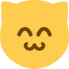 SillyCat SillyCat