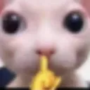 shushbbg