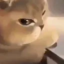 suscat