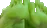 glorpfeet