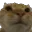 catno