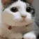 catnope
