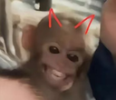 muahaha Discord emoji