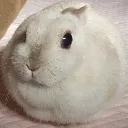 FatassBunny
