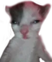kitterhuh