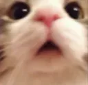 wuh
