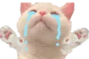nyoo
