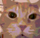 catlaughkekk