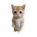 imrighthere