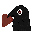 corvus_love