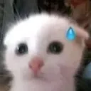 emoji_136