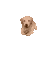 DogSmile