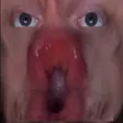 sneegKiss