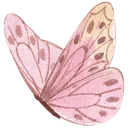 pink_butterfly