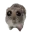 skrunk