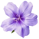 ggg_purpleflower