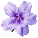 ggg_purpleflower