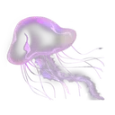 ggg_purplejellyfish