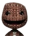 sackboy