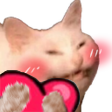 cat_heart custom emote - Dizzy GanG