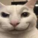 strangepussy strangepussy