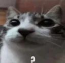 Huh