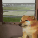 bitzxier_sad