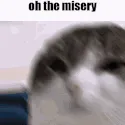 The_misery