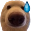 Sweating Discord Emoji from 🛕𝗭𝗼𝗱𝗶𝗮𝗻 𝗘𝗺𝗽𝗶𝗿𝗲🛕