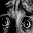 thehorror