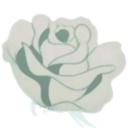 whiterose