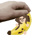 petbanban