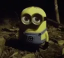 MINION