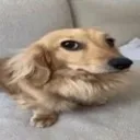 C_auNaoFoiEu