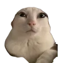 reginald