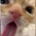 lick