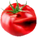 PagMato