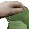 frog_pet