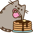 pancakecat