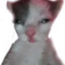crunchy
