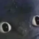 stare
