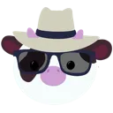 coolmoolah